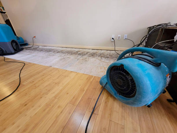 Professional Emergency Water Damage technician working in Middletown, CT